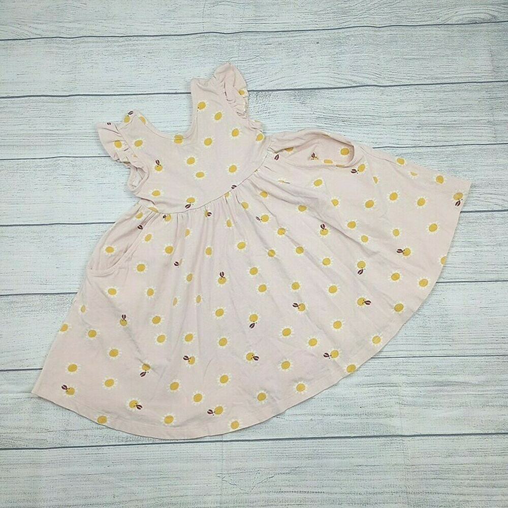 4 Hanna Andersson Ladybug/Flower Skater Dress